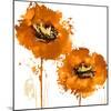 Flower Burst in Mandarin II-Vanessa Austin-Mounted Art Print