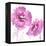 Flower Burst in Pink II-Vanessa Austin-Framed Stretched Canvas