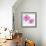 Flower Burst in Pink II-Vanessa Austin-Framed Art Print displayed on a wall