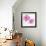 Flower Burst in Pink II-Vanessa Austin-Framed Art Print displayed on a wall