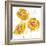 Flower Burst Trio in Amber-Vanessa Austin-Framed Art Print