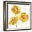 Flower Burst Trio in Amber-Vanessa Austin-Framed Art Print