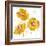 Flower Burst Trio in Amber-Vanessa Austin-Framed Art Print