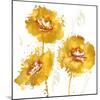 Flower Burst Trio in Amber-Vanessa Austin-Mounted Art Print