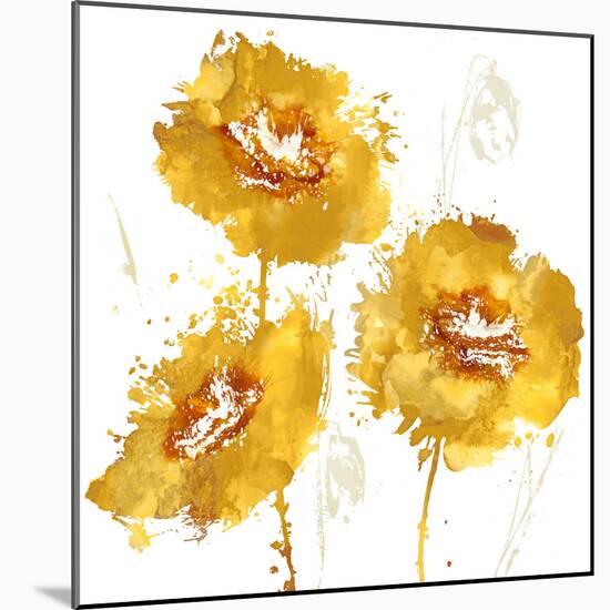Flower Burst Trio in Amber-Vanessa Austin-Mounted Art Print
