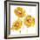 Flower Burst Trio in Amber-Vanessa Austin-Framed Art Print