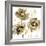 Flower Burst Trio in Gold-Vanessa Austin-Framed Art Print