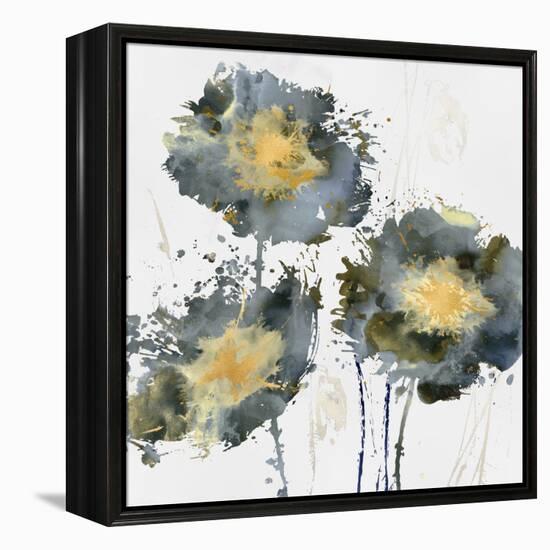 Flower Burst Trio-Vanessa Austin-Framed Stretched Canvas
