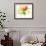 Flower Burst-Ronald Julius Christensen-Framed Collectable Print displayed on a wall