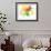 Flower Burst-Ronald Julius Christensen-Framed Collectable Print displayed on a wall