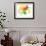 Flower Burst-Ronald Julius Christensen-Framed Collectable Print displayed on a wall