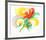 Flower Burst-Ronald Julius Christensen-Framed Collectable Print