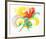 Flower Burst-Ronald Julius Christensen-Framed Collectable Print