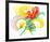 Flower Burst-Ronald Julius Christensen-Framed Collectable Print