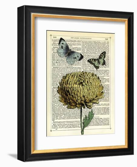 Flower & Butterflies-Marion Mcconaghie-Framed Art Print