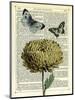 Flower & Butterflies-Marion Mcconaghie-Mounted Art Print