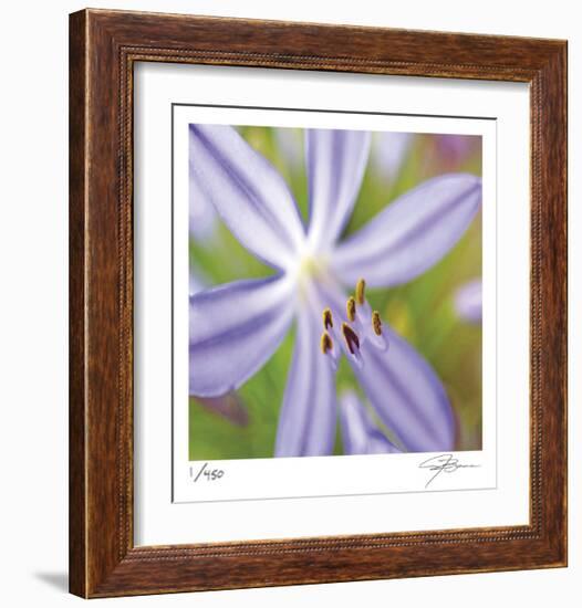 Flower Center-Ken Bremer-Framed Limited Edition