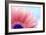 Flower Close-Up, Sunlight from Behind. Fresh, Spring Background-Michal Bednarek-Framed Photographic Print