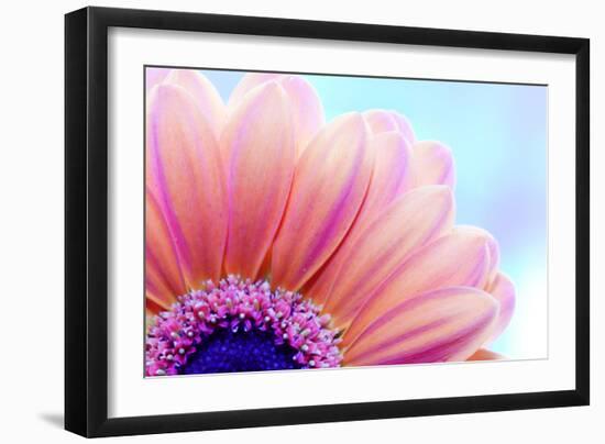 Flower Close-Up, Sunlight from Behind. Fresh, Spring Background-Michal Bednarek-Framed Photographic Print