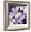 Flower Closeup-Ken Bremer-Framed Limited Edition