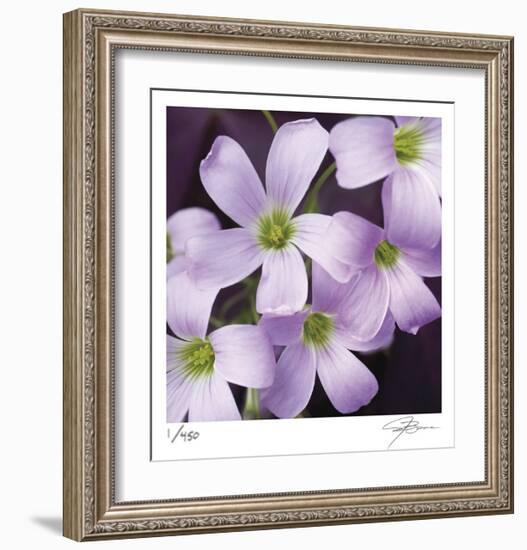 Flower Closeup-Ken Bremer-Framed Limited Edition