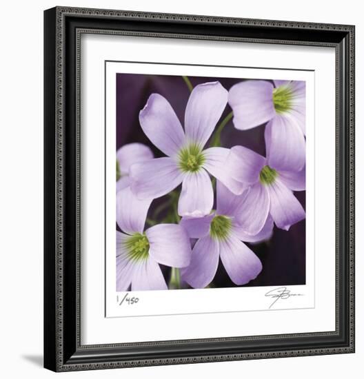 Flower Closeup-Ken Bremer-Framed Limited Edition