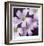 Flower Closeup-Ken Bremer-Framed Limited Edition