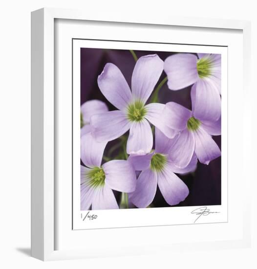 Flower Closeup-Ken Bremer-Framed Limited Edition