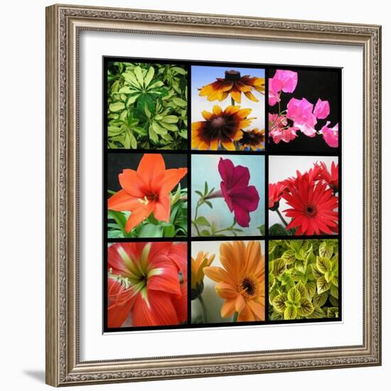 Flower Collage-Herb Dickinson-Framed Photographic Print