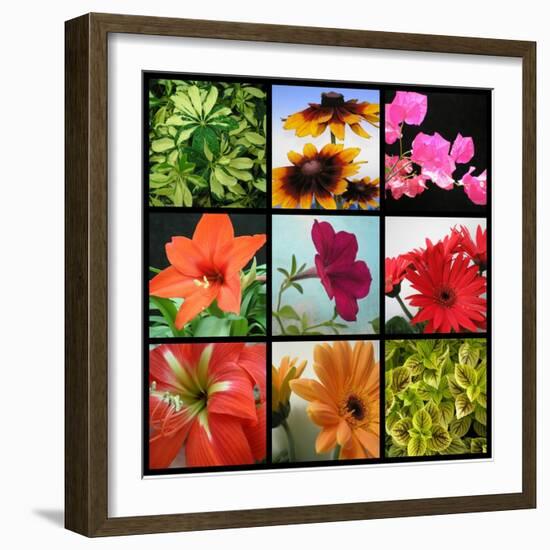 Flower Collage-Herb Dickinson-Framed Photographic Print