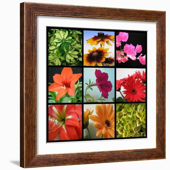 Flower Collage-Herb Dickinson-Framed Photographic Print