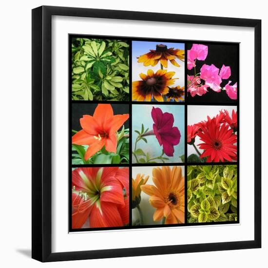 Flower Collage-Herb Dickinson-Framed Photographic Print