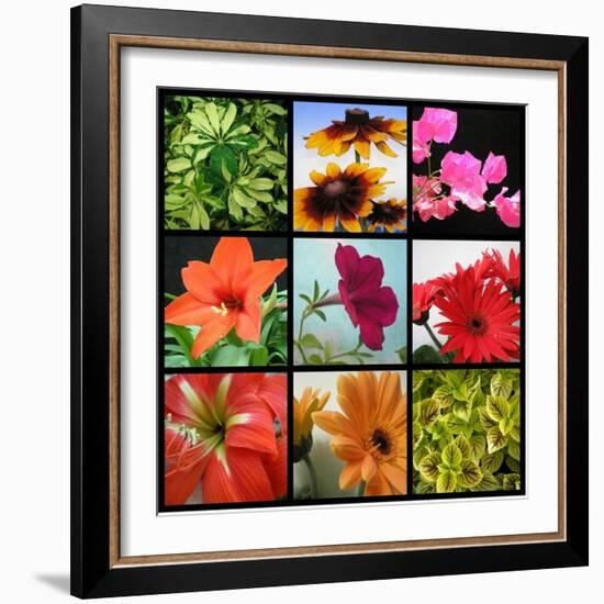 Flower Collage-Herb Dickinson-Framed Photographic Print