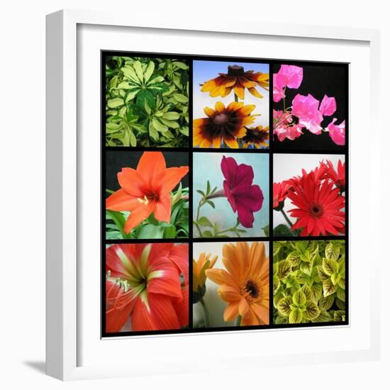 Flower Collage-Herb Dickinson-Framed Photographic Print