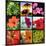 Flower Collage-Herb Dickinson-Mounted Photographic Print
