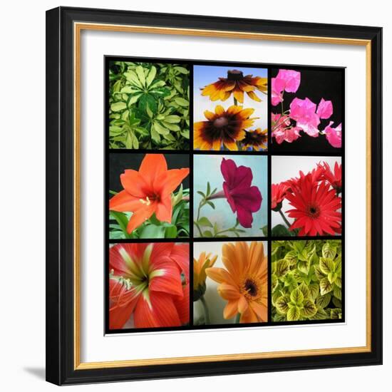 Flower Collage-Herb Dickinson-Framed Photographic Print