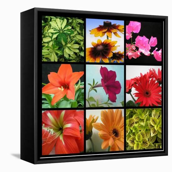 Flower Collage-Herb Dickinson-Framed Premier Image Canvas