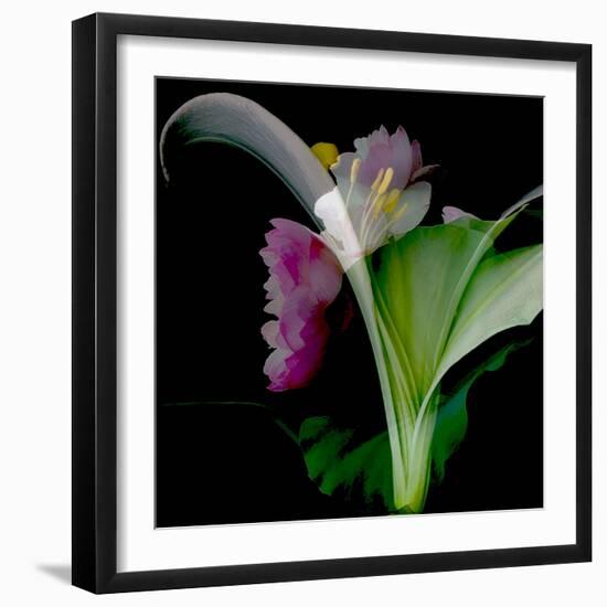 Flower Collage-Linda Arthurs-Framed Giclee Print