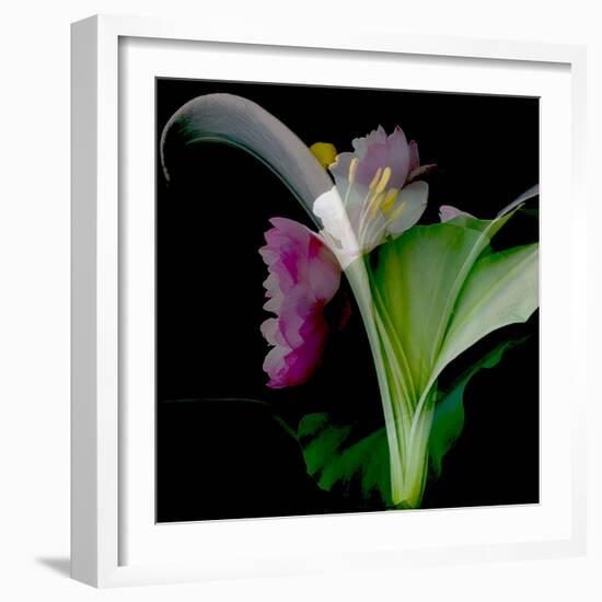 Flower Collage-Linda Arthurs-Framed Giclee Print