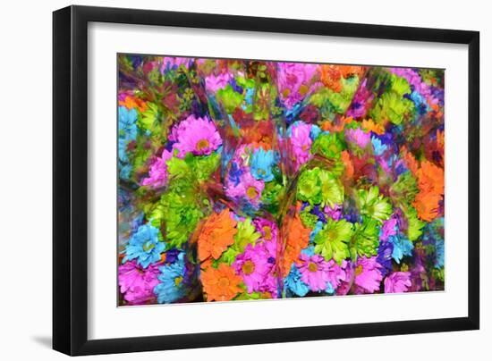 Flower collage-Tom Kelly-Framed Giclee Print