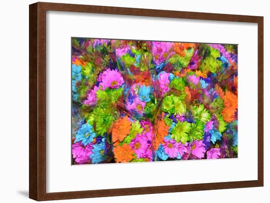 Flower collage-Tom Kelly-Framed Giclee Print