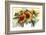 Flower Composition IV-Franz Heigl-Framed Art Print