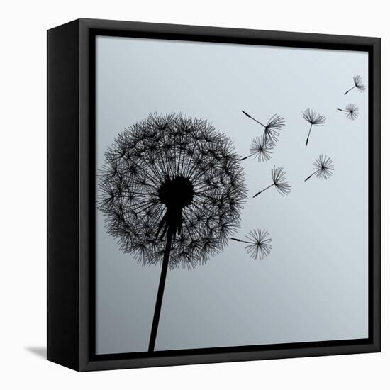 Flower Dandelion On Gray Background-silvionka-Framed Stretched Canvas