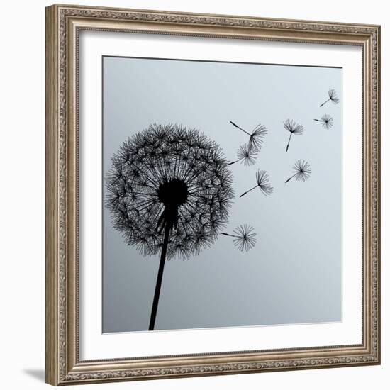 Flower Dandelion On Gray Background-silvionka-Framed Art Print