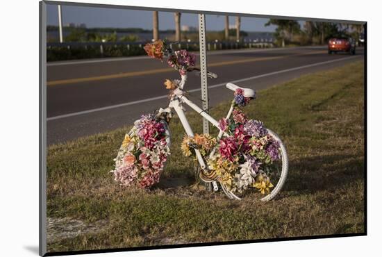 Flower-Decorated Bicycle-Andrea Haase-Mounted Photographic Print