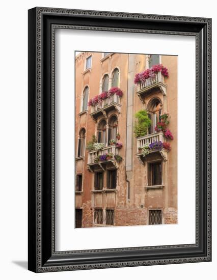 Flower Decorating Windows. Venice. Italy-Tom Norring-Framed Photographic Print