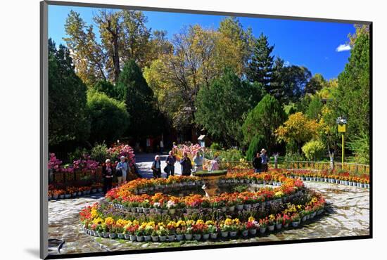 Flower Decoration in the Park of the Summer Residence of the 14th Dalai Lama-null-Mounted Art Print