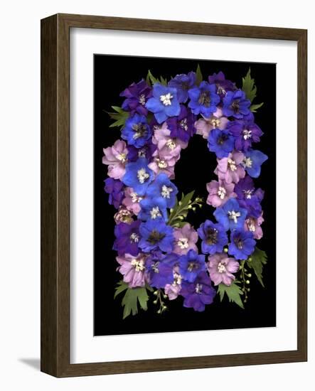 Flower Drama II-Judy Stalus-Framed Photographic Print