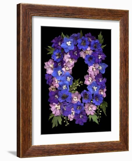 Flower Drama II-Judy Stalus-Framed Photographic Print