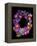 Flower Drama III-Judy Stalus-Framed Premier Image Canvas